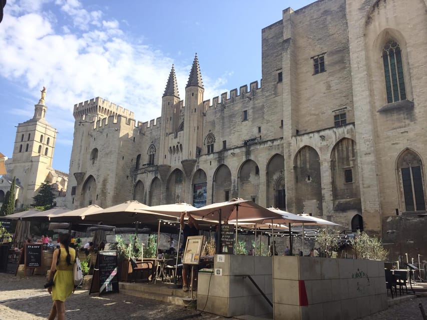 Cote du Rhone wine tasting day visit of Pope castle of Avignon