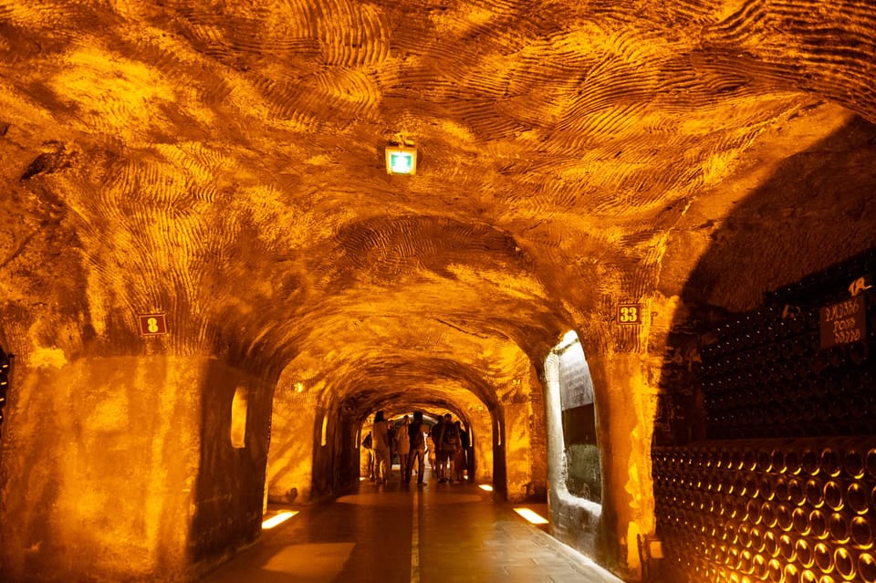 Authentic Champagne day tour with champagne tasting and cellar visit guided tour
