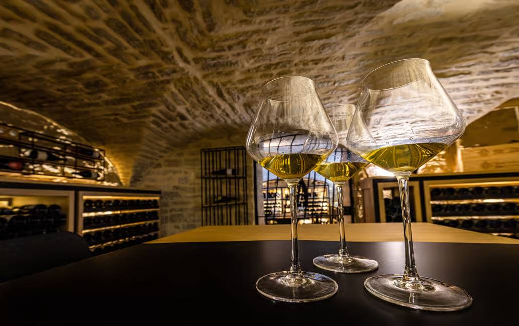 Cave du Palais Burgundy wine tasting,