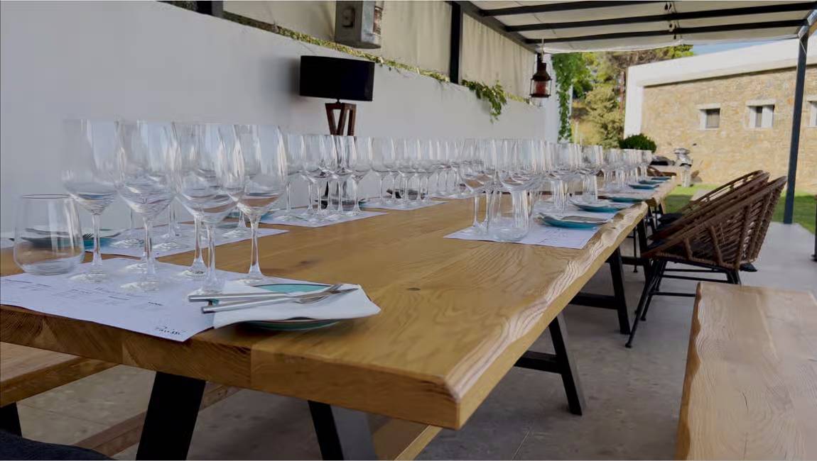 On a local winery of theSkiathos island, get introduced to Skiathos wines with food pairing