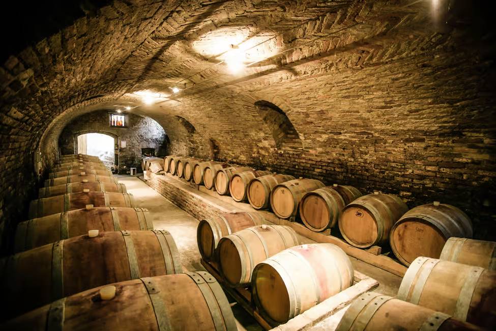 Montepulciano wine region cellars and winery visit