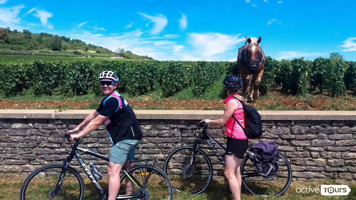 Typical Burgunday landscapes in Beaune vineyards by bike