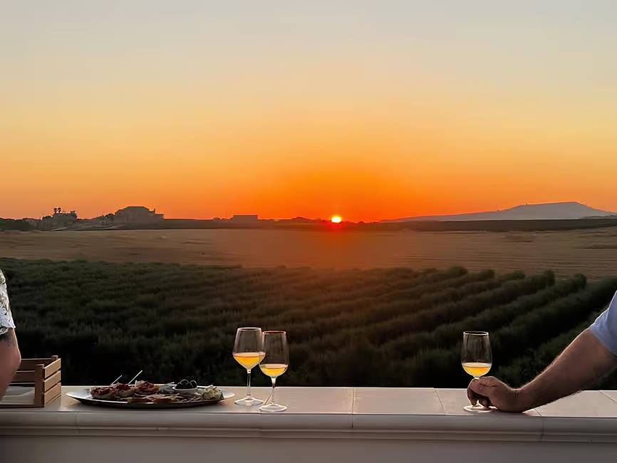 Sip some sicilian wines while admiring the sunset on valley of the temples