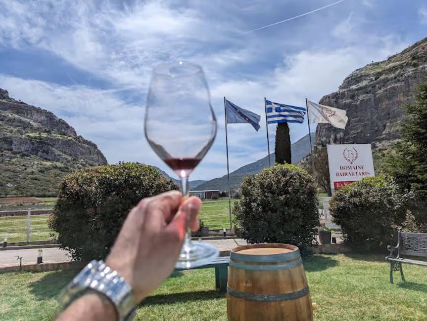 Nemea wines tasting in some of best wineries of Nemea Peloponnese region on a wine tour
