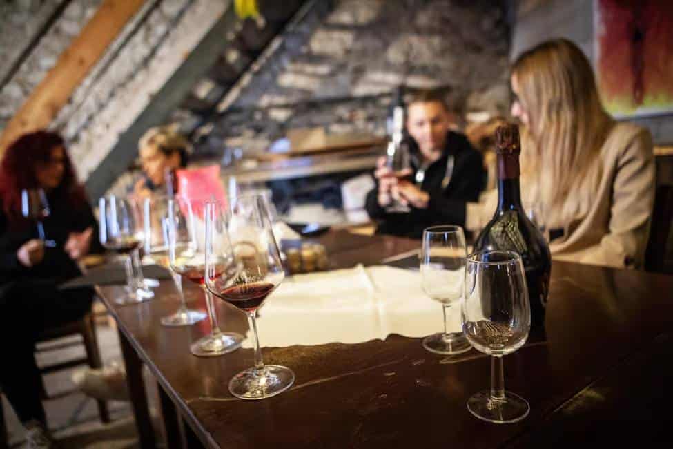 Mezzocorona Teroldego vineyards visit and wine tasting some wines from Trento italian vineyards