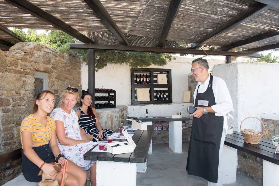 A friendly and intimate wine tasting in Mykonos, on a traditional mykonian farm