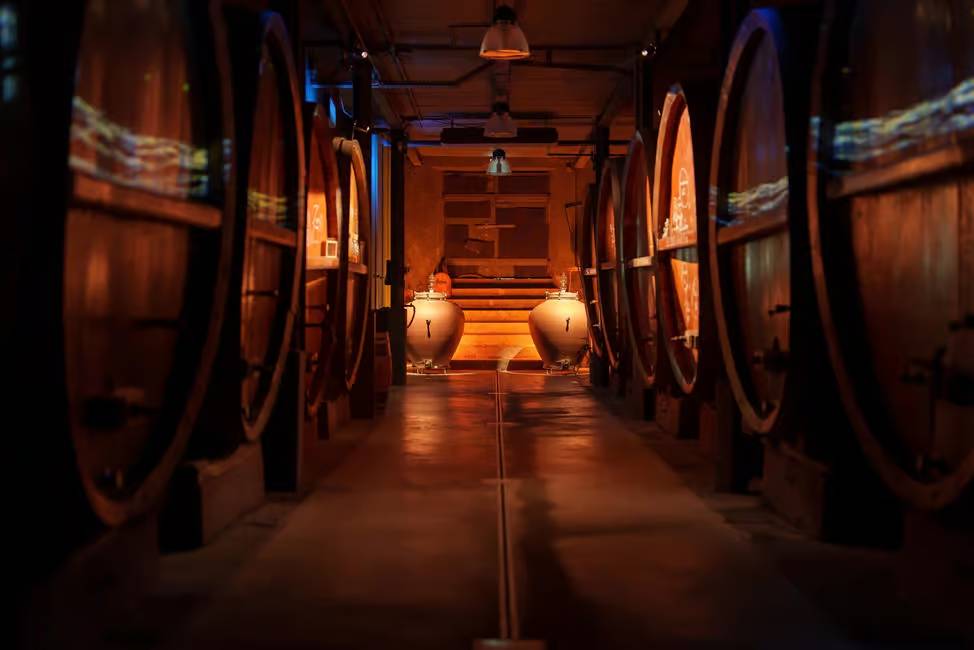 view of old cellars in a Cellar visit in Alsace, Guided Wine Tasting