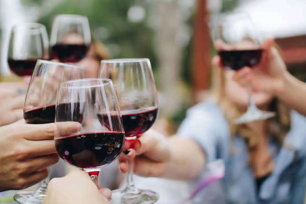 red burgundy tasting on wine tour from Dijon to Beazune