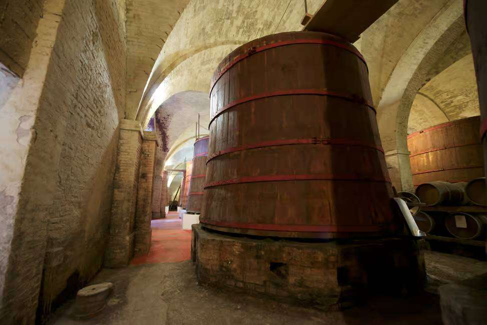 the biggest oak barrel in Europe, containing 100 hectoliters. In Cantina Mazzarosa, Abruzzo
