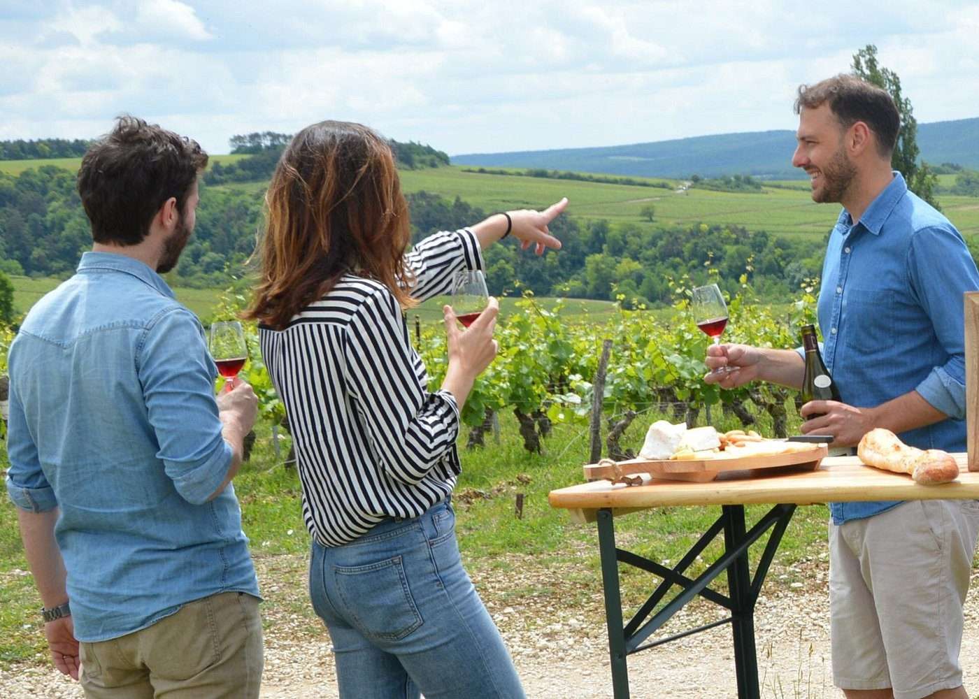 Wine tasting in the vineyards of Chablis & Burgundy with a sommelier