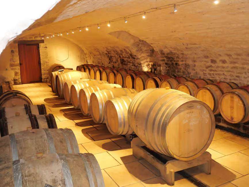 Chablis tour visit family-run winery Fourrey cellars