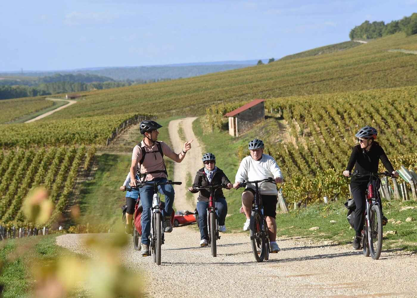 Riding in group narrow paths in Chablis vineyards by e-bike, passing by row of vines and small winemakers vineyads working houses