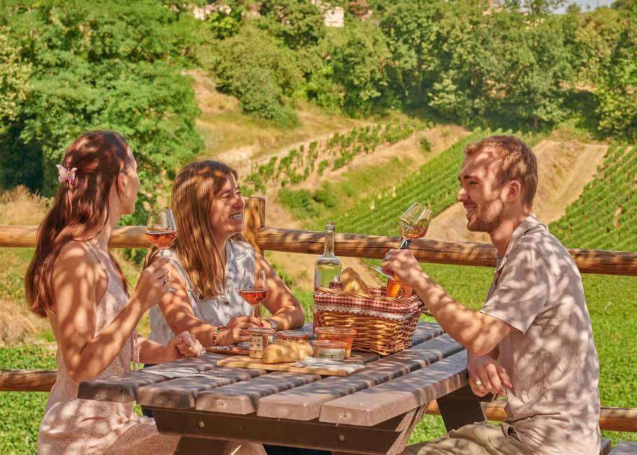 In Saint Emilion vineyards, Chateau la Croizille winery picnic iin the vineyards with wine