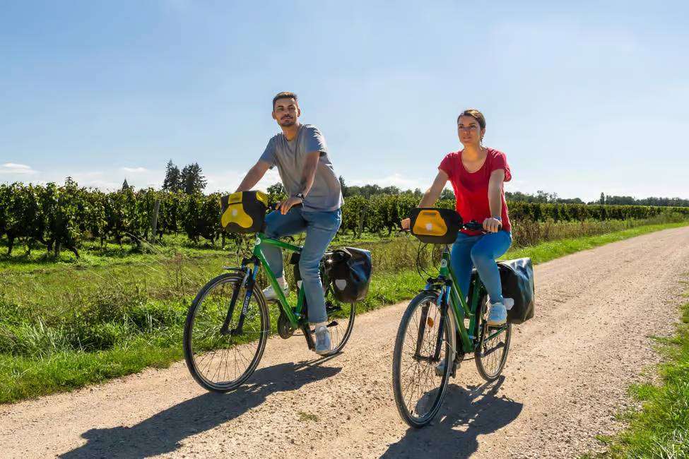 cycling in Cheverny wine region