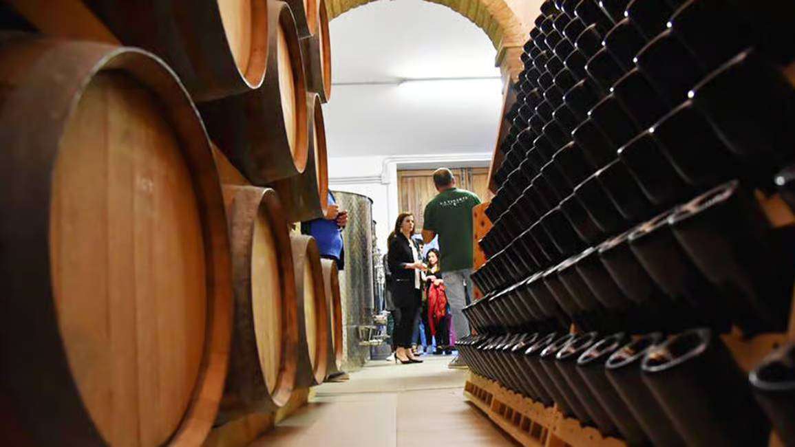 Wine cellars of Azienda Agricola La Vinarte, Abruzzo