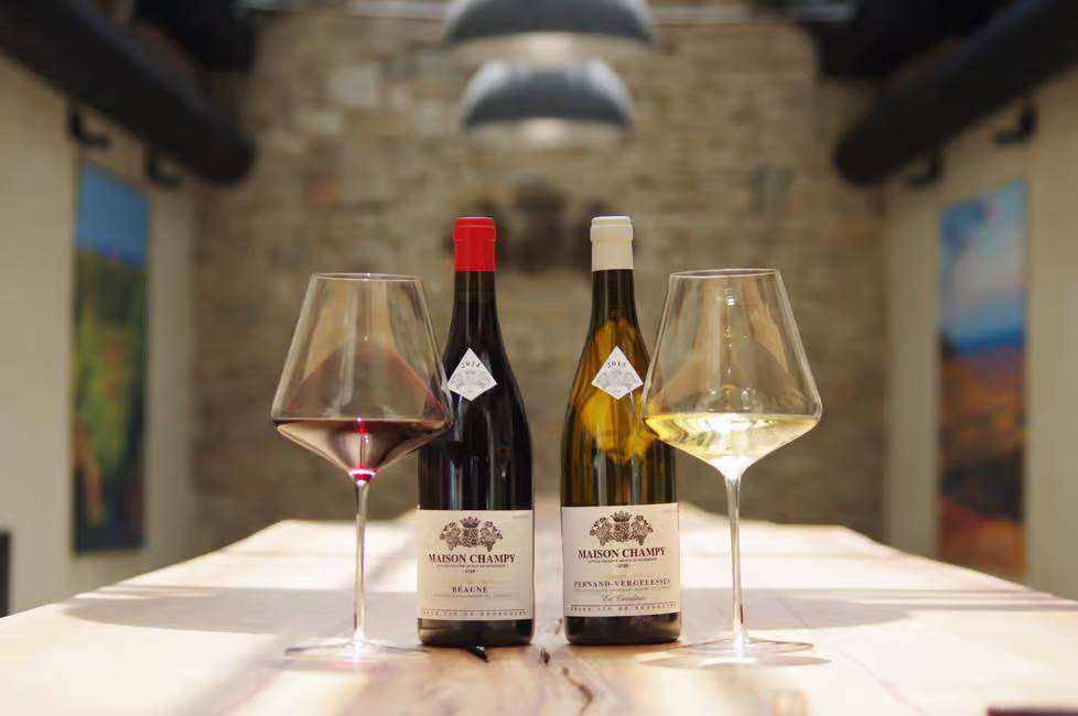 Burgundy wine tasting of Champy domain wines