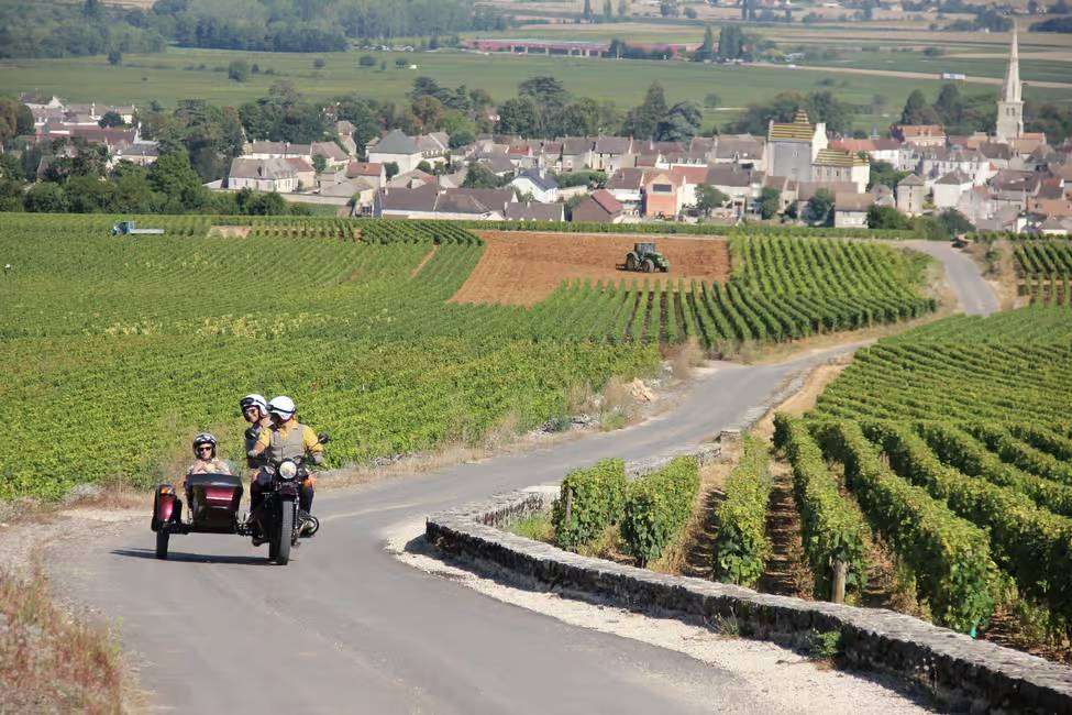 Driving small roads and crossing vineyards with sidecar in Meursault wine region