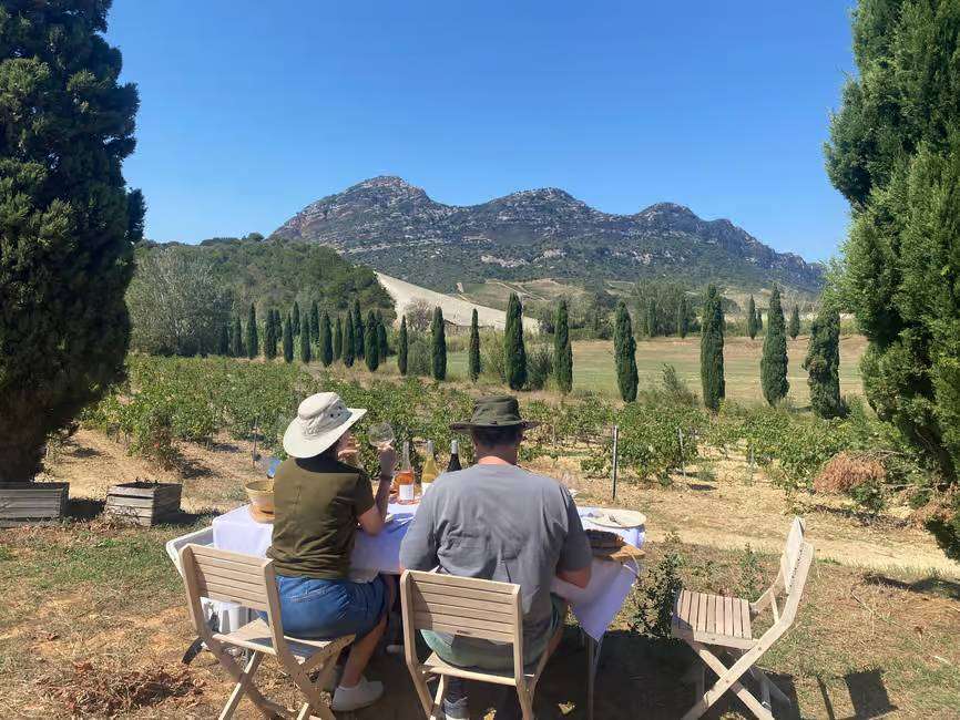 Patrimonio wine tasting and pic nic in the vineyards in Saint Florent, Corsica