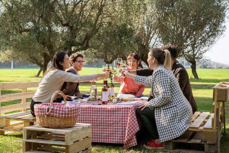 Sititing in the olive groves for food Picnic in an Olive Grove of cantina Mazzarosa winery