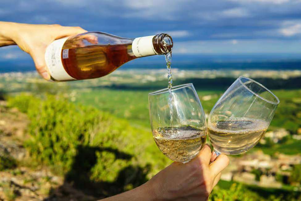 Vouvray wine tasting in the viineyards
