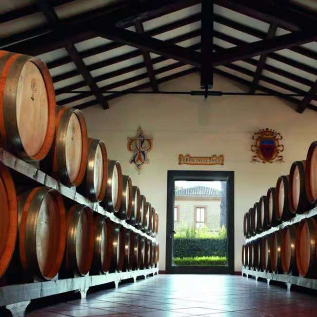 the main wine cellars of cantina Re Manfredi Winery in Venosa, Basilicata