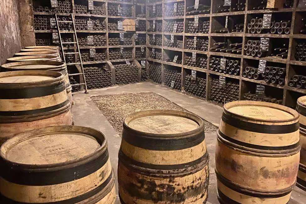 Old vintage wines in cellar in Burgundy on chateau Pommard wine tasting day