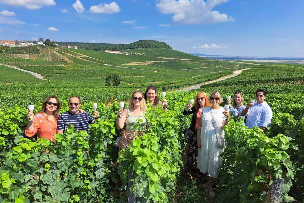 Group visiting the vinyards in a chablis day trip, with wine Chablis burgundy wine tasting in the vineyards