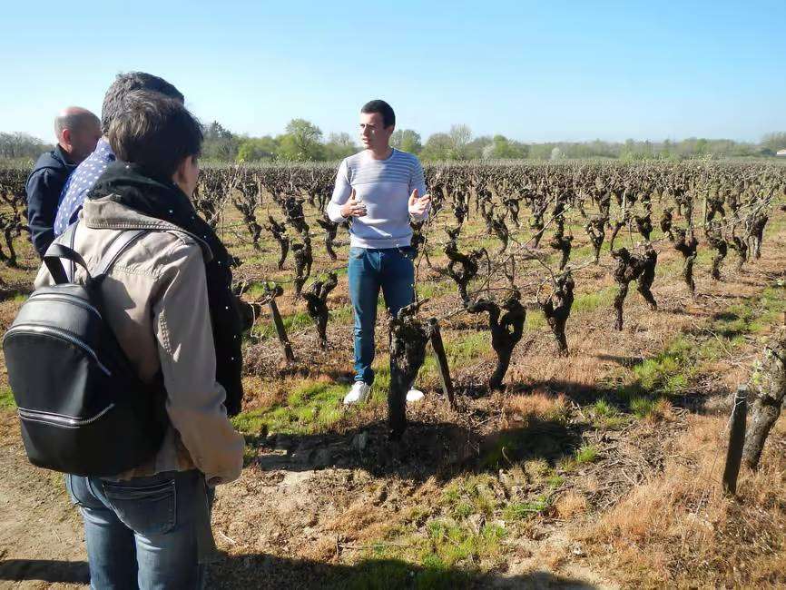 visit of chateau du Bois Huaut vineyards in Loire