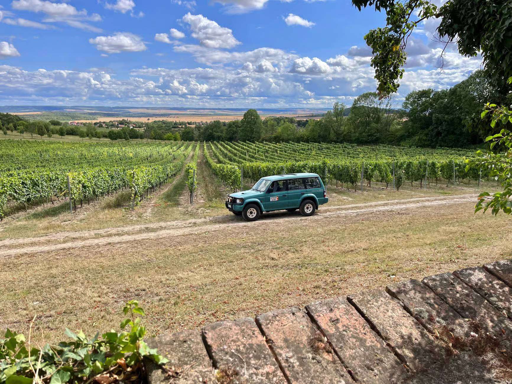 Driving into czech vineyards with 4x4 jeep