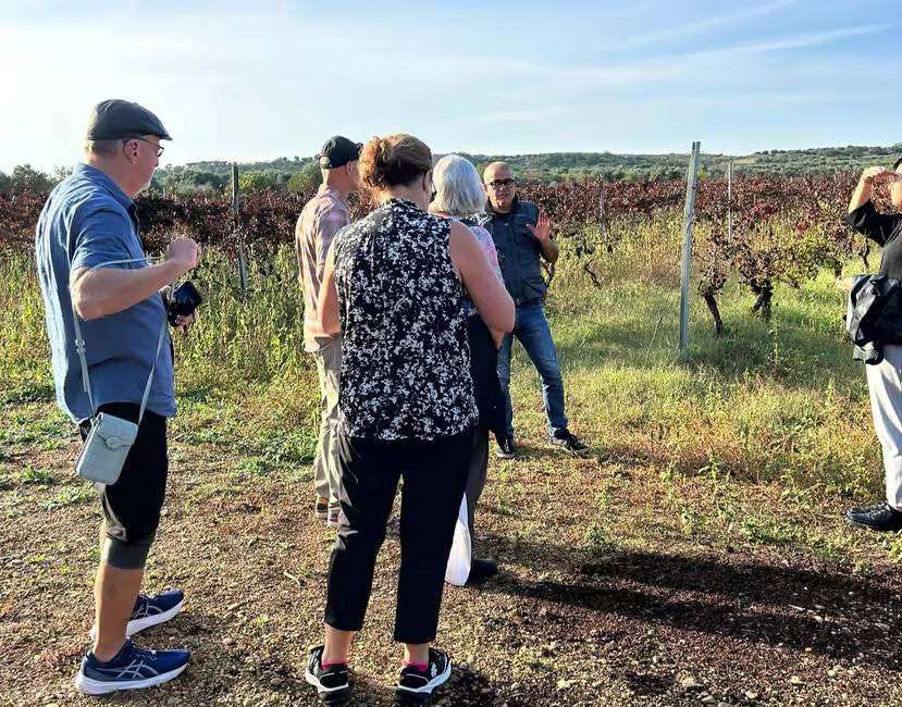 visit of vineyards of Russo winery on half day tour to Ginossa