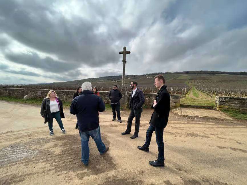 stop in the vineyards of Cote de beaune before visitin local wineries