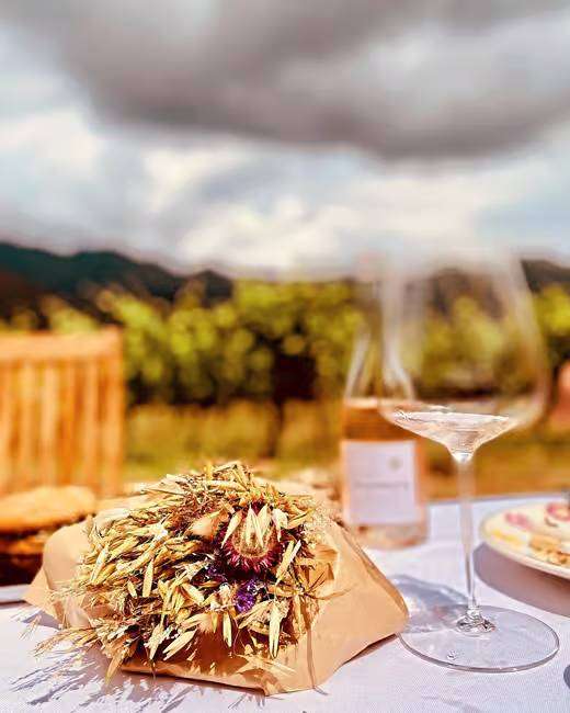 Food pic bic and wine sin the vineyards near Ile Rousse in Corsica