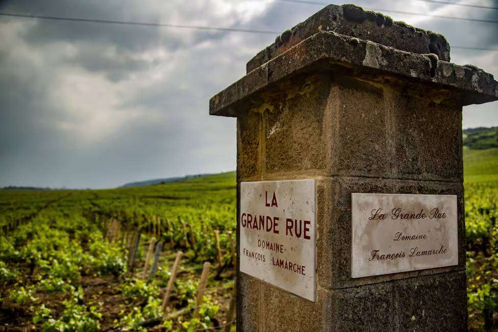 Entrance of vineyards of Francois Lamarche Grand rue route des grands grand crus Vosne Romanée