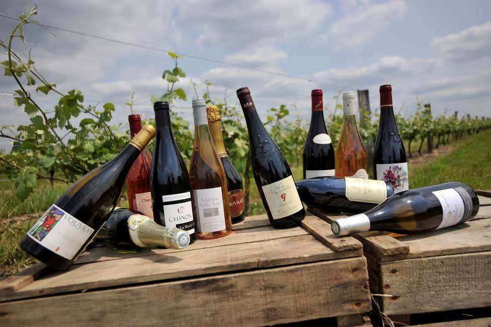 some wine sof Chinon, Bourgueil and Loire tasted on a wine tour