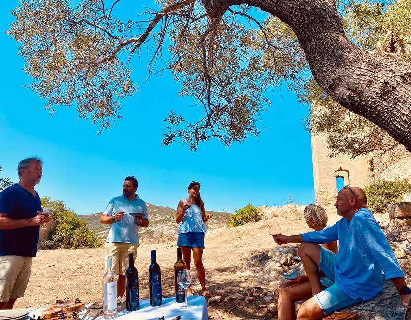 Wine taqting and pic nic in Calvi, wine tour in Corsica