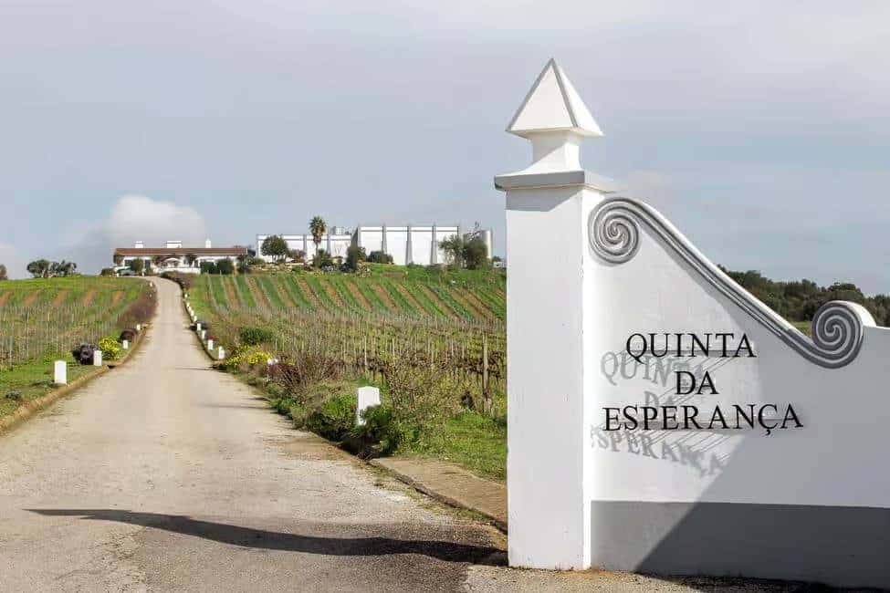 Aliestre Vineyards entrance, quinta da esperançia, in Estremoz,Alentejo