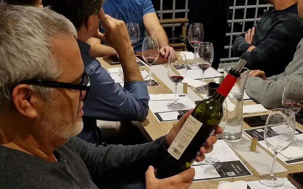 Premium wines from Mendoza tasted at Urban Wine Tasting Mendoza, bodigo vinario