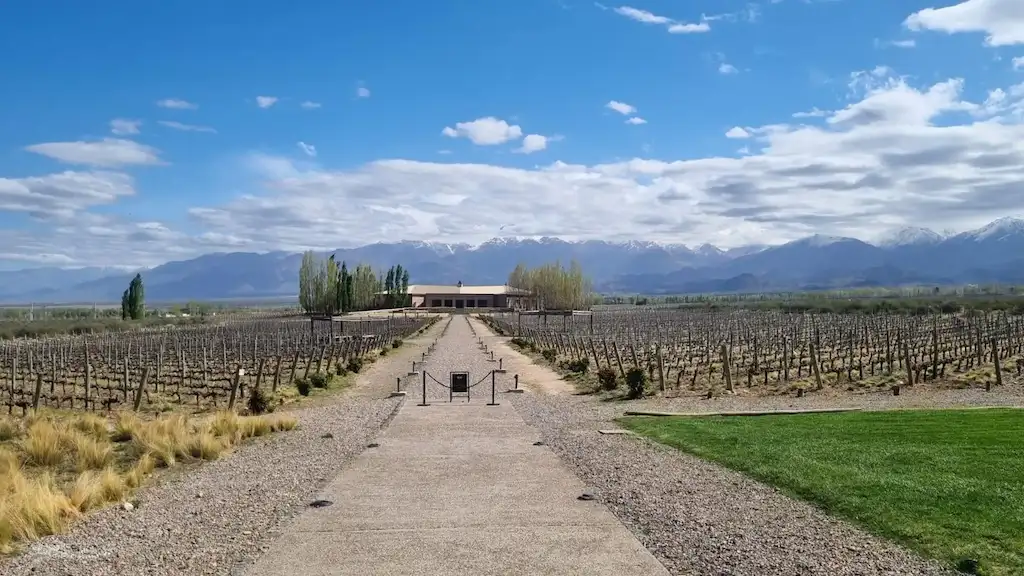 Local winery in Mendoza, visited on Mendoza small-group luxury wine tour with gourmet lunch