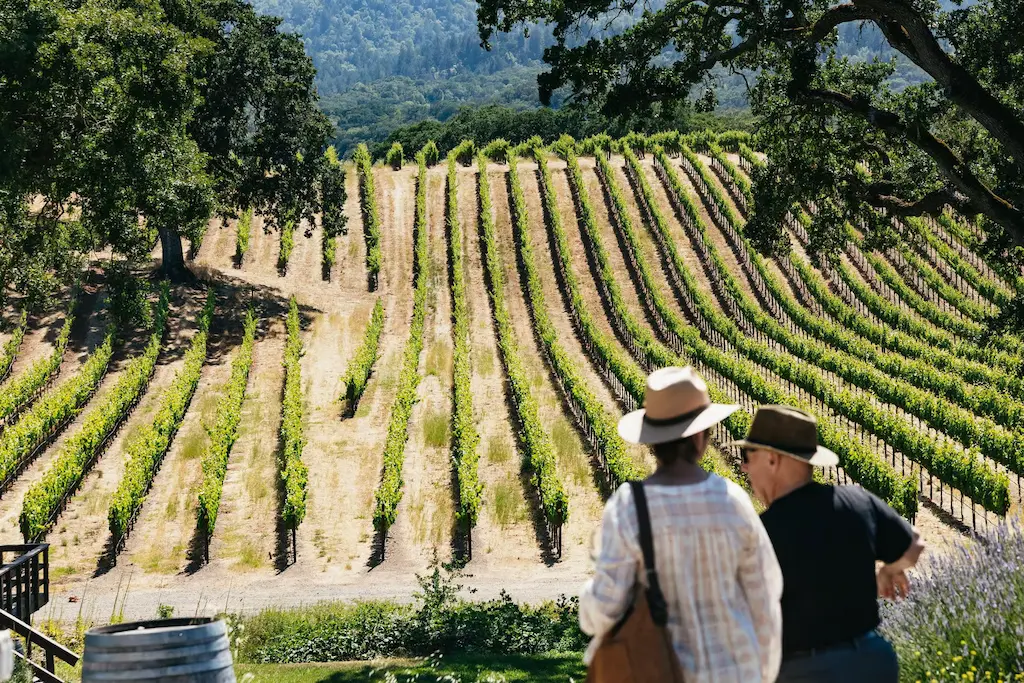 Tourists on a on a wine tour with Golden Gate stop in San Francisco enjoying view over the vineyards of Napa Valley
