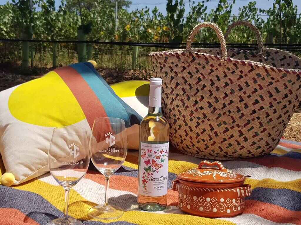 Pic nic set with wine and local food at Herdade Canal Caveira iwinery n Alentejo wine region, Portugal